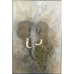 Pachyderm